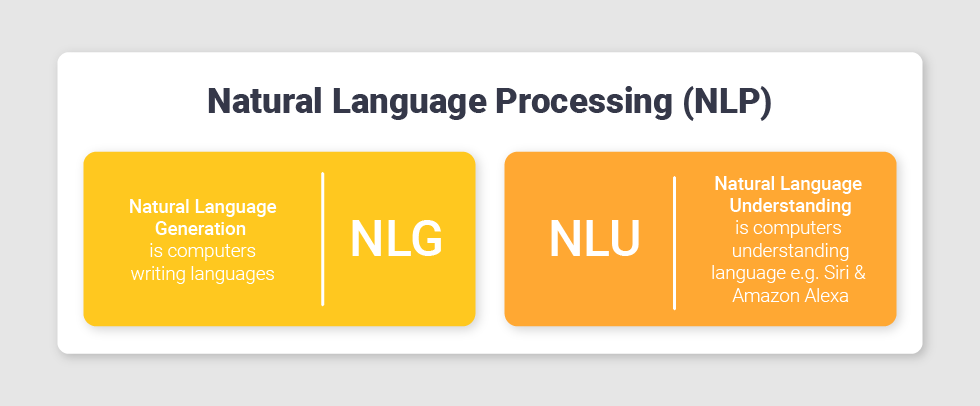 Natural Language Processing (NLP)