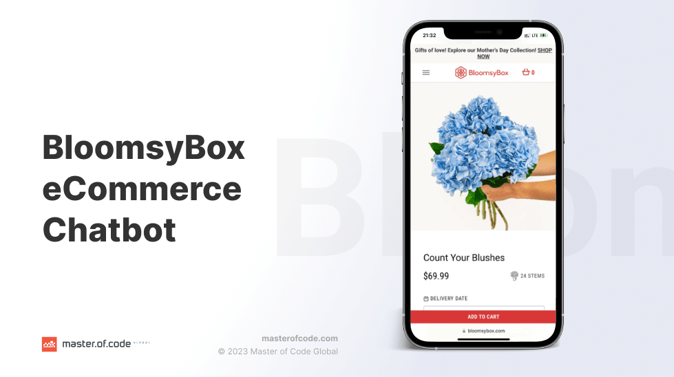 BloomsyBox Chatbot